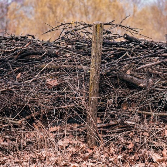 Servicios - Gestión de biomasa en Jaén